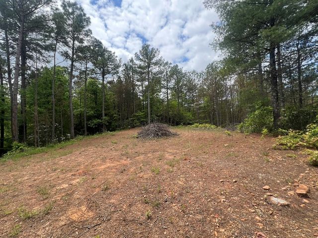 Lot 7 Skyline Drive, Turtletown, TN 37391