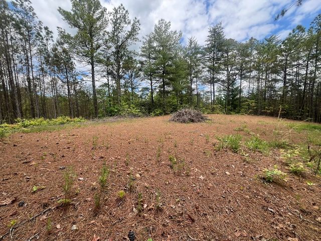 Lot 7 Skyline Drive, Turtletown, TN 37391