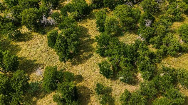 274 Ridgeline Drive, Chico, TX 76431
