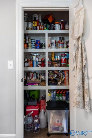 9418 NW Crysillas Drive, Madison, AL 35757