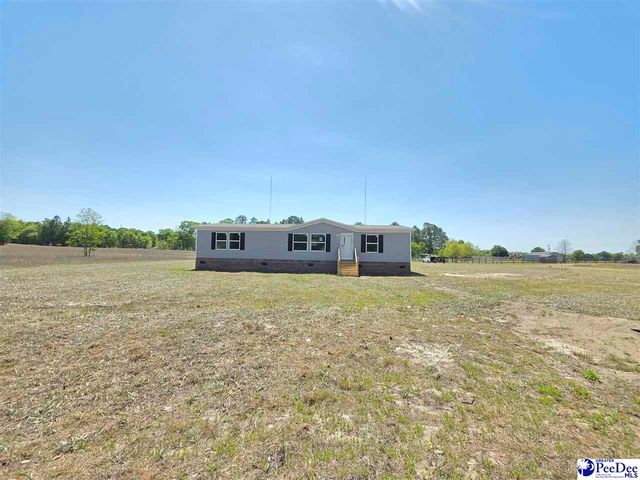 2005 Trent Drive, Dillon, SC 29536