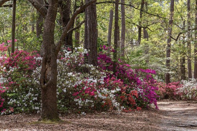 108 Tea Farm Road, Summerville, SC 29483