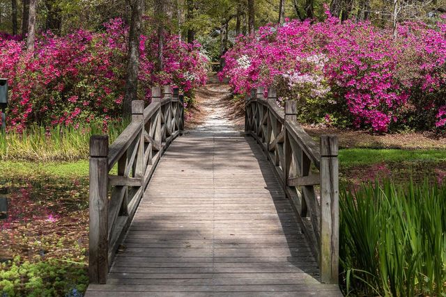 108 Tea Farm Road, Summerville, SC 29483
