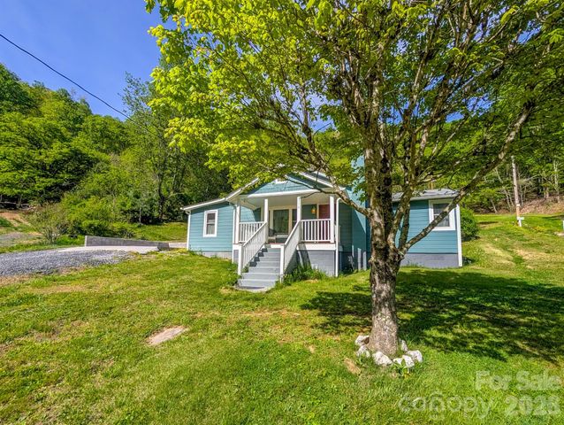 314 Byrd Creek Road, Green Mountain, NC 28740