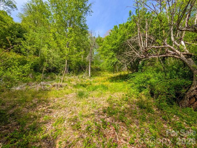 314 Byrd Creek Road, Green Mountain, NC 28740