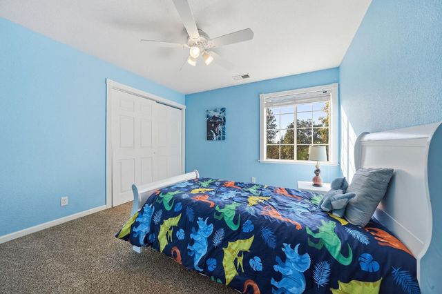 21821 Homestead Road, Pine Grove, CA 95665