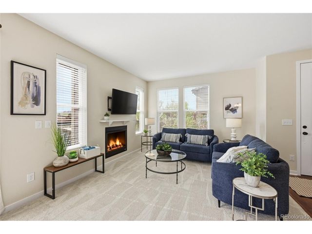 10121 Tall Oaks St, Parker, CO 80134