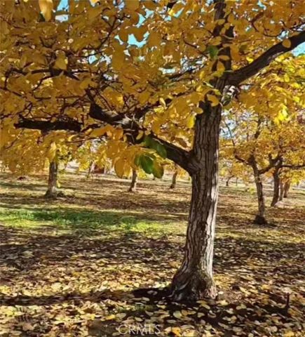 25205 5th Avenue, Los Molinos, CA 96055