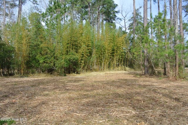 252 Jonaquins Drive, Beaufort, NC 28516