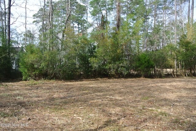 252 Jonaquins Drive, Beaufort, NC 28516