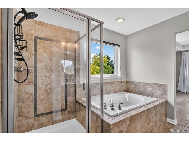 493 Sudbury St, Castle Rock, CO 80104