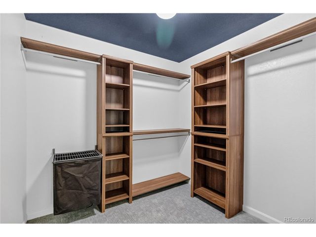 493 Sudbury St, Castle Rock, CO 80104