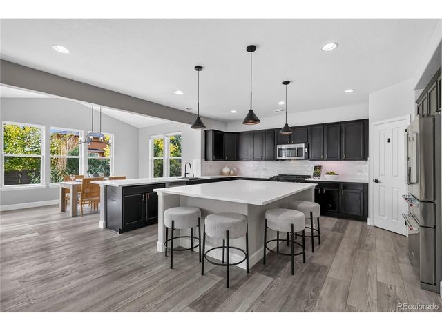 493 Sudbury St, Castle Rock, CO 80104