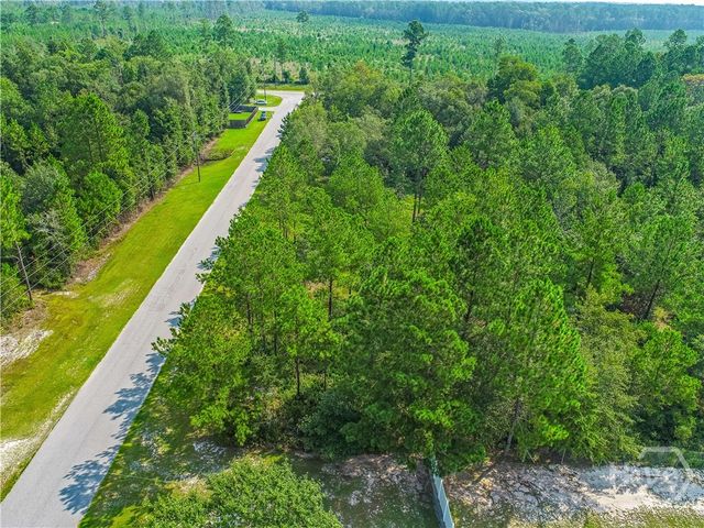 1117 Stillwell Clyo Road, Springfield, GA 31329