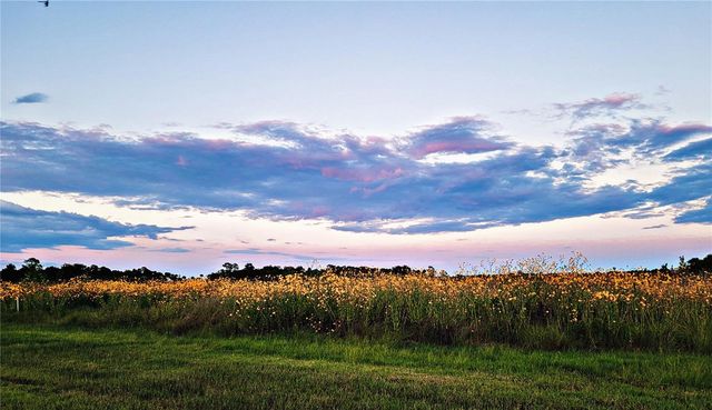 2269 MULLET LAKE PARK ROAD, Geneva, FL 32732