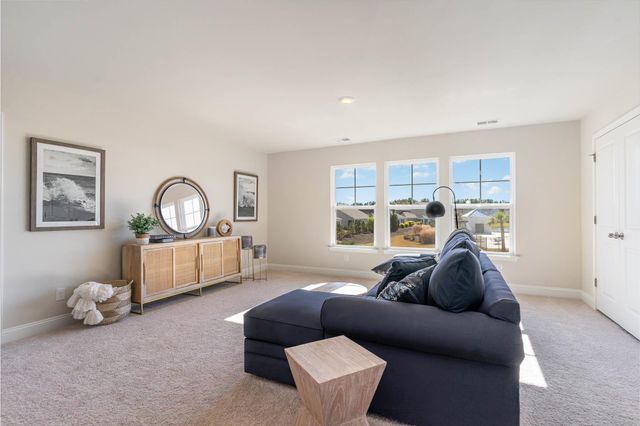 351 Hadley Springs Ave, Longs, SC 29568