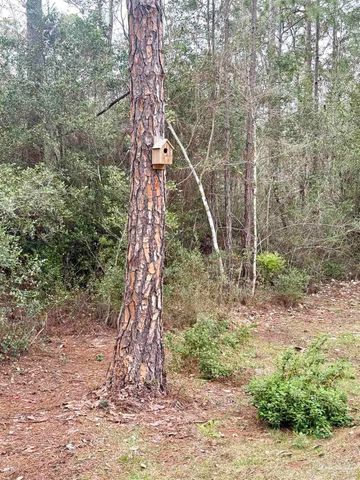 2943 N 13th Ave, Milton, FL 32583