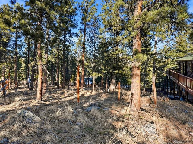 201 Moss Rock Rd, Bailey, CO 80421