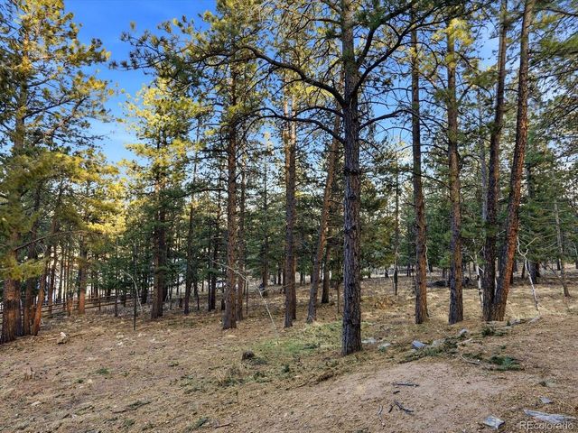 201 Moss Rock Rd, Bailey, CO 80421