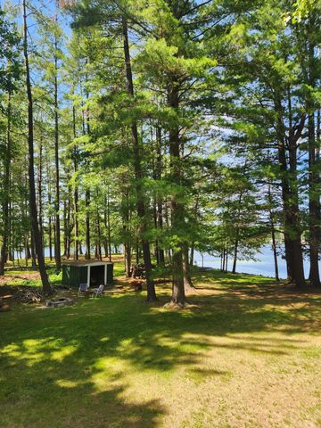 3473 N Shore Drive, Orient Twp, MI 49679