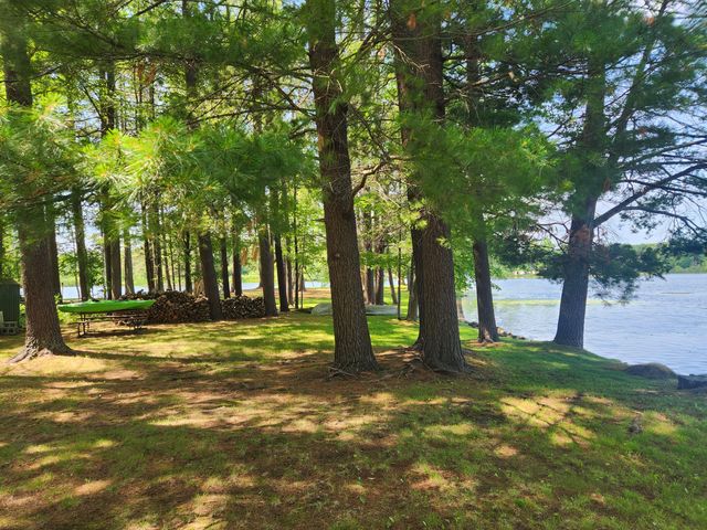 3473 N Shore Drive, Orient Twp, MI 49679