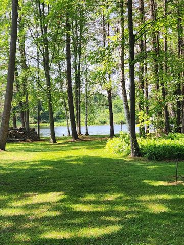 3473 N Shore Drive, Orient Twp, MI 49679