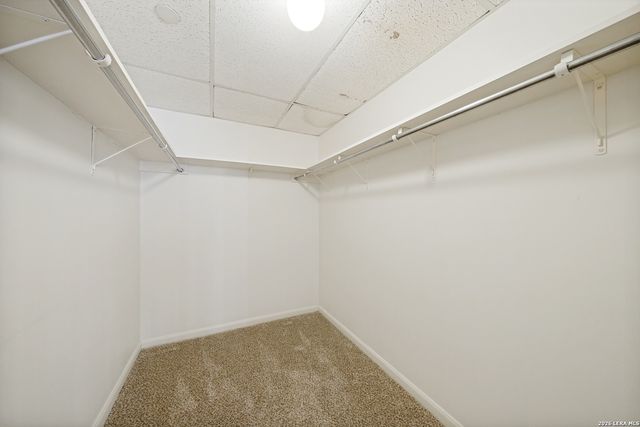 1 Towers Park Ln Apt 413, San Antonio, TX 78209
