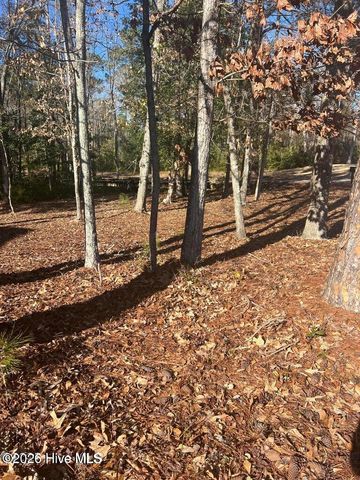 92 Plantation Passage Drive SE, Bolivia, NC 28422
