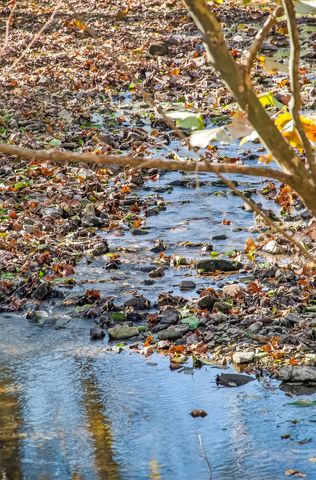 1819 Pleasant Hill Road, Seymour, MO 65746