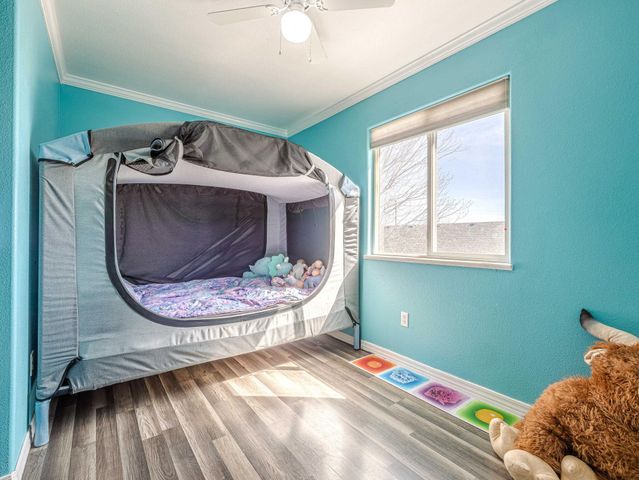658 Stone Mountain Drive, Fruita, CO 81521