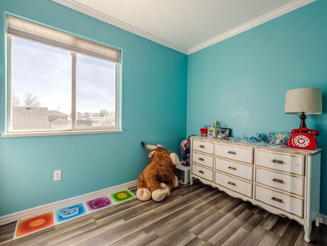 658 Stone Mountain Drive, Fruita, CO 81521