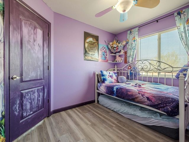 658 Stone Mountain Drive, Fruita, CO 81521