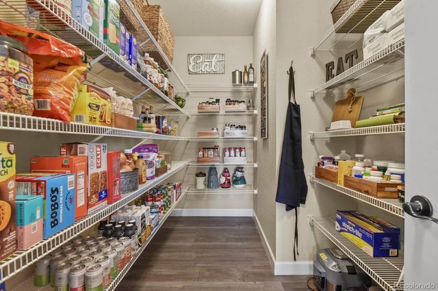 6180 Leilani Drive, Castle Rock, CO 80108