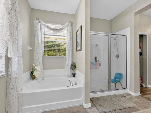 11414 BRIDGE PINE DRIVE, Riverview, FL 33569