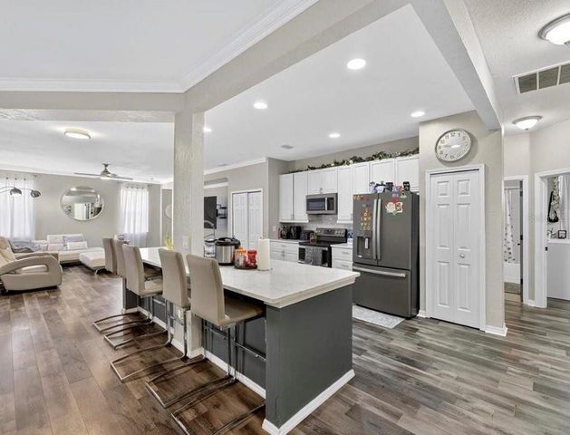 11414 BRIDGE PINE DRIVE, Riverview, FL 33569