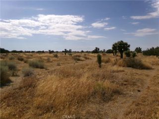 0 Phelan Road, Phelan, CA 92371