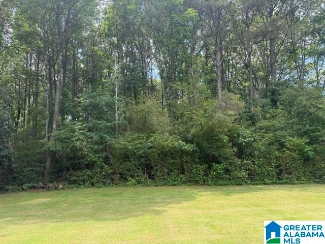 9041 S US HIGHWAY 31, Hanceville, AL 35077