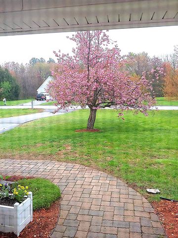 3 COPPERFIELD Lane, Londonderry, NH 03053