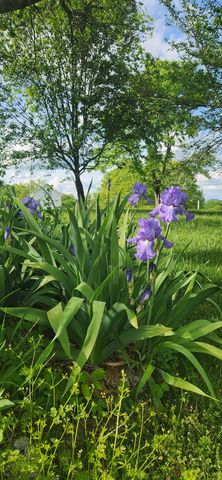 545 Puryears Bend Rd, Hartsville, TN 37074