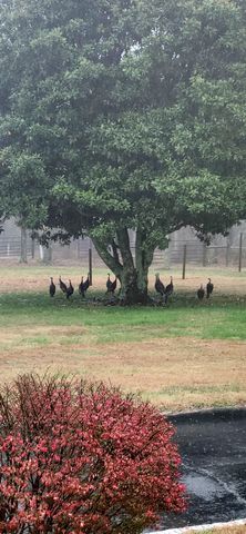 545 Puryears Bend Rd, Hartsville, TN 37074