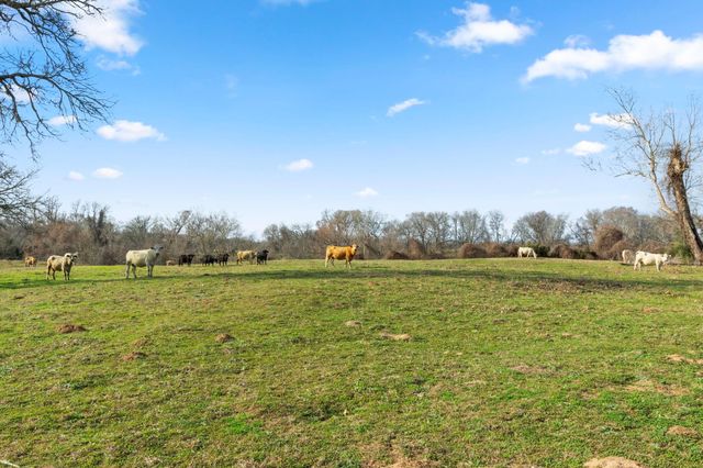 TBD Shaws Bend Rd, Columbus, TX 78934