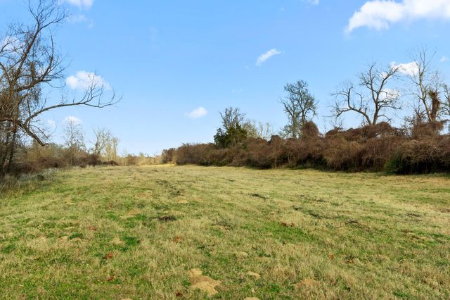 TBD Shaws Bend Rd, Columbus, TX 78934