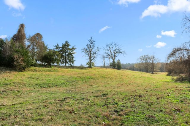 TBD Shaws Bend Rd, Columbus, TX 78934