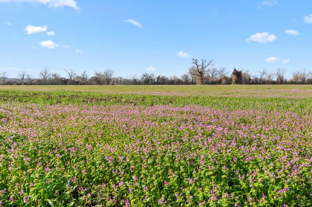 TBD Shaws Bend Rd, Columbus, TX 78934