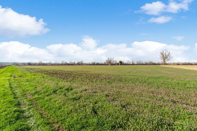 TBD Shaws Bend Rd, Columbus, TX 78934