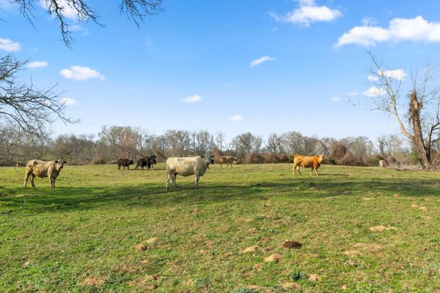 TBD Shaws Bend Rd, Columbus, TX 78934