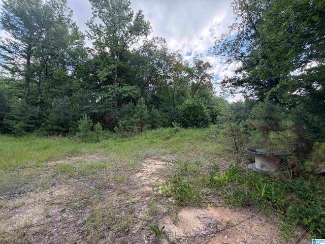350 OSCAR BRADFORD ROAD, Warrior, AL 35180