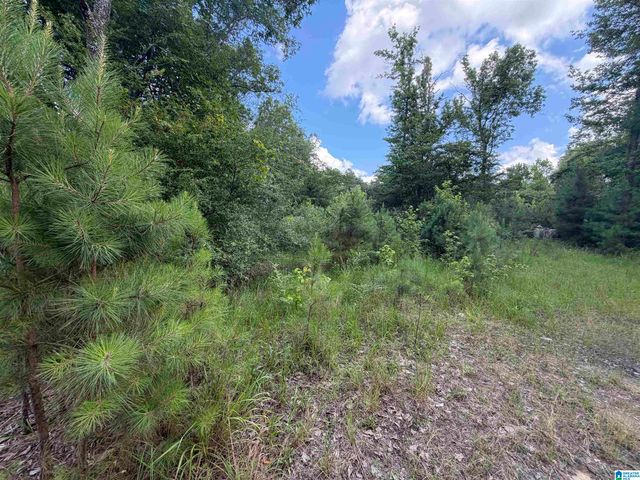 350 OSCAR BRADFORD ROAD, Warrior, AL 35180