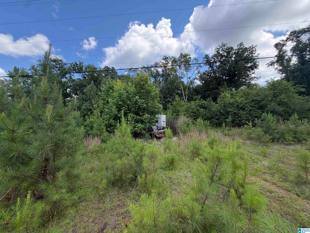 350 OSCAR BRADFORD ROAD, Warrior, AL 35180