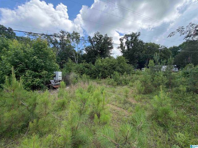 350 OSCAR BRADFORD ROAD, Warrior, AL 35180